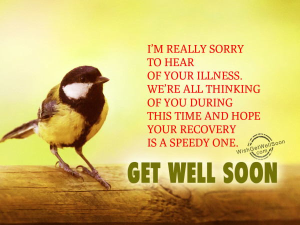 Your recovery is speedy one,Get well soon