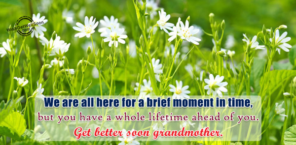 Get Well Soon Grandmother-gws63