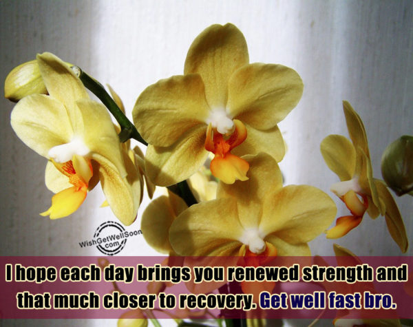 I Hope Each Day Brings You Renewed Strength