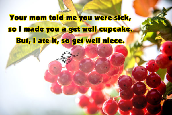 I Made You A Get Well Cupcake-gws82
