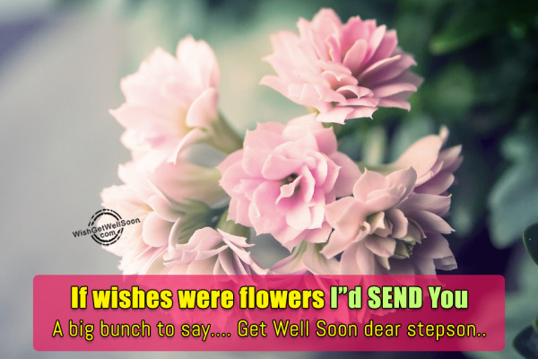 If Wishes Were Flowers I Did Send You A Big Bunch-gws72