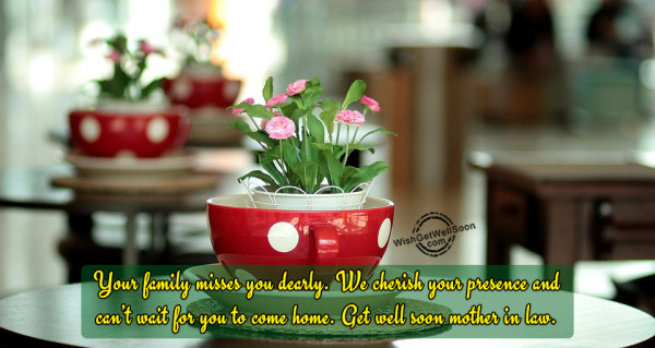 Your Family Misses You Dearly - Get Well Soon Mother IN Law-gws55