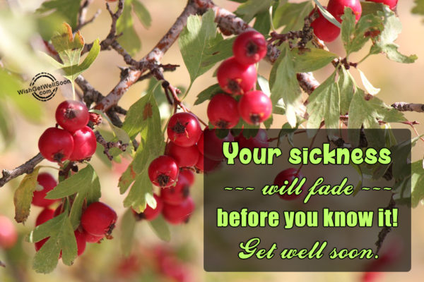 Your Sickness Will Fad Before You Know It